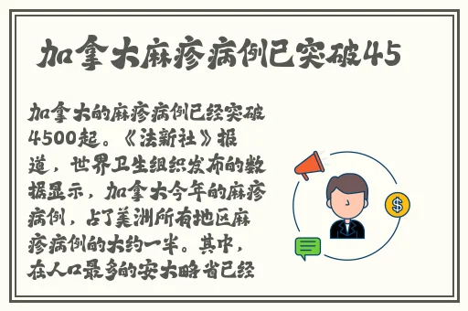 洗濯屋2肉动漫无修版在线播放